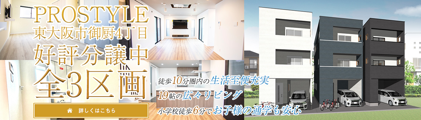 PROSTYLE铌抗3