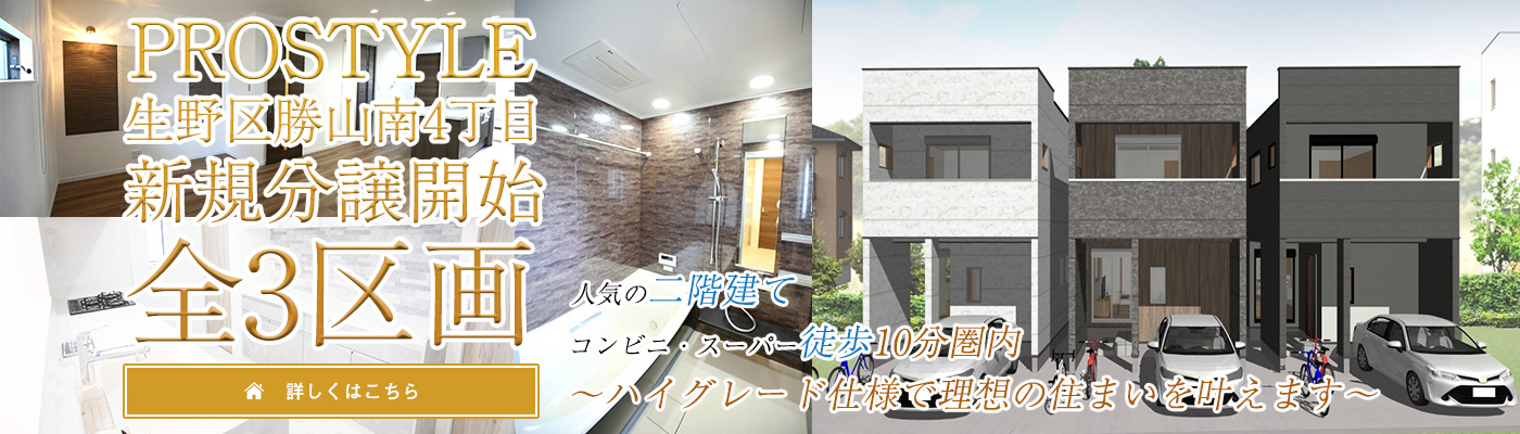 PROSTYLE揟R4